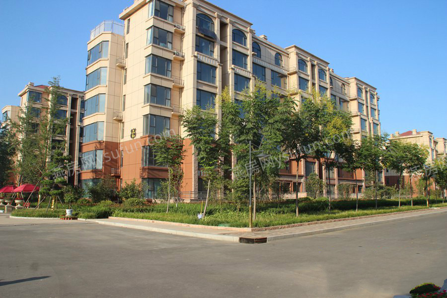 紫御东城